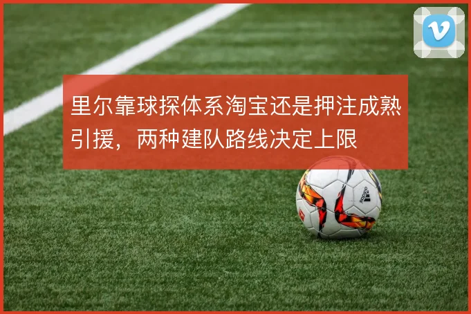 里尔靠球探体系淘宝还是押注成熟引援，两种建队路线决定上限